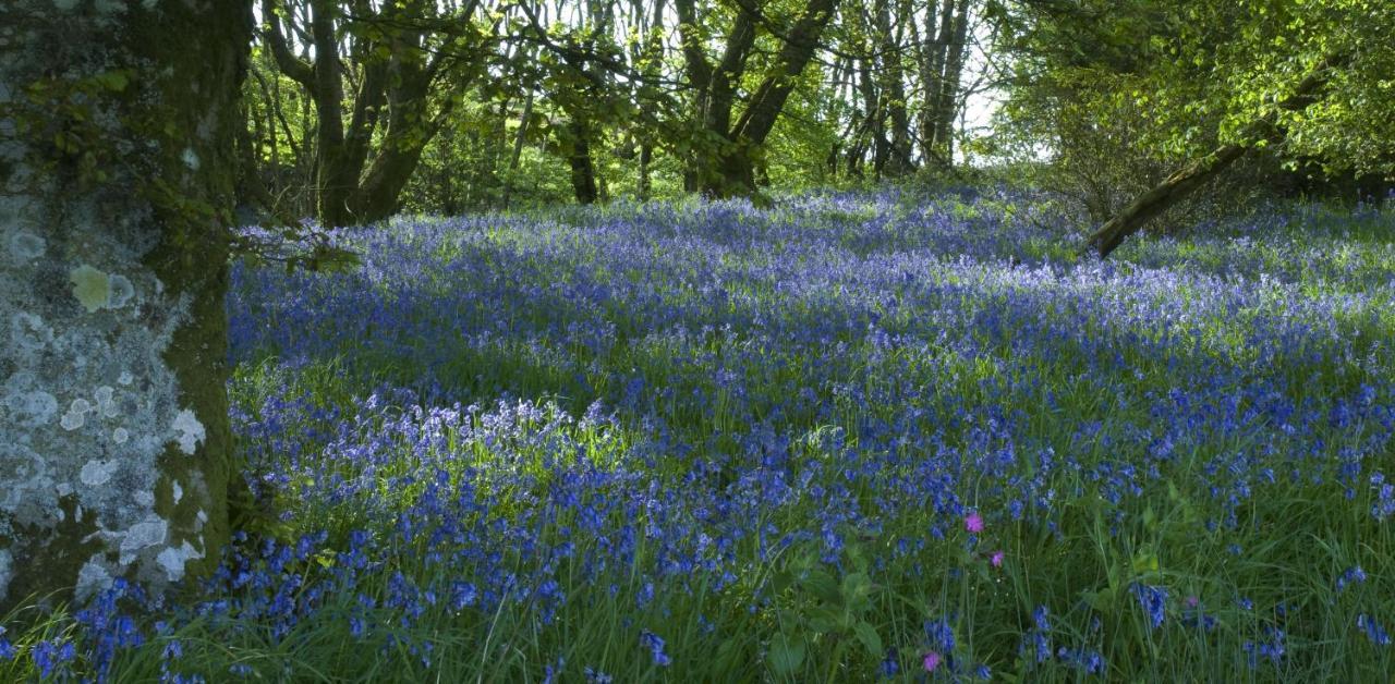 Orroland Holiday Cottages Dundrennan エクステリア 写真