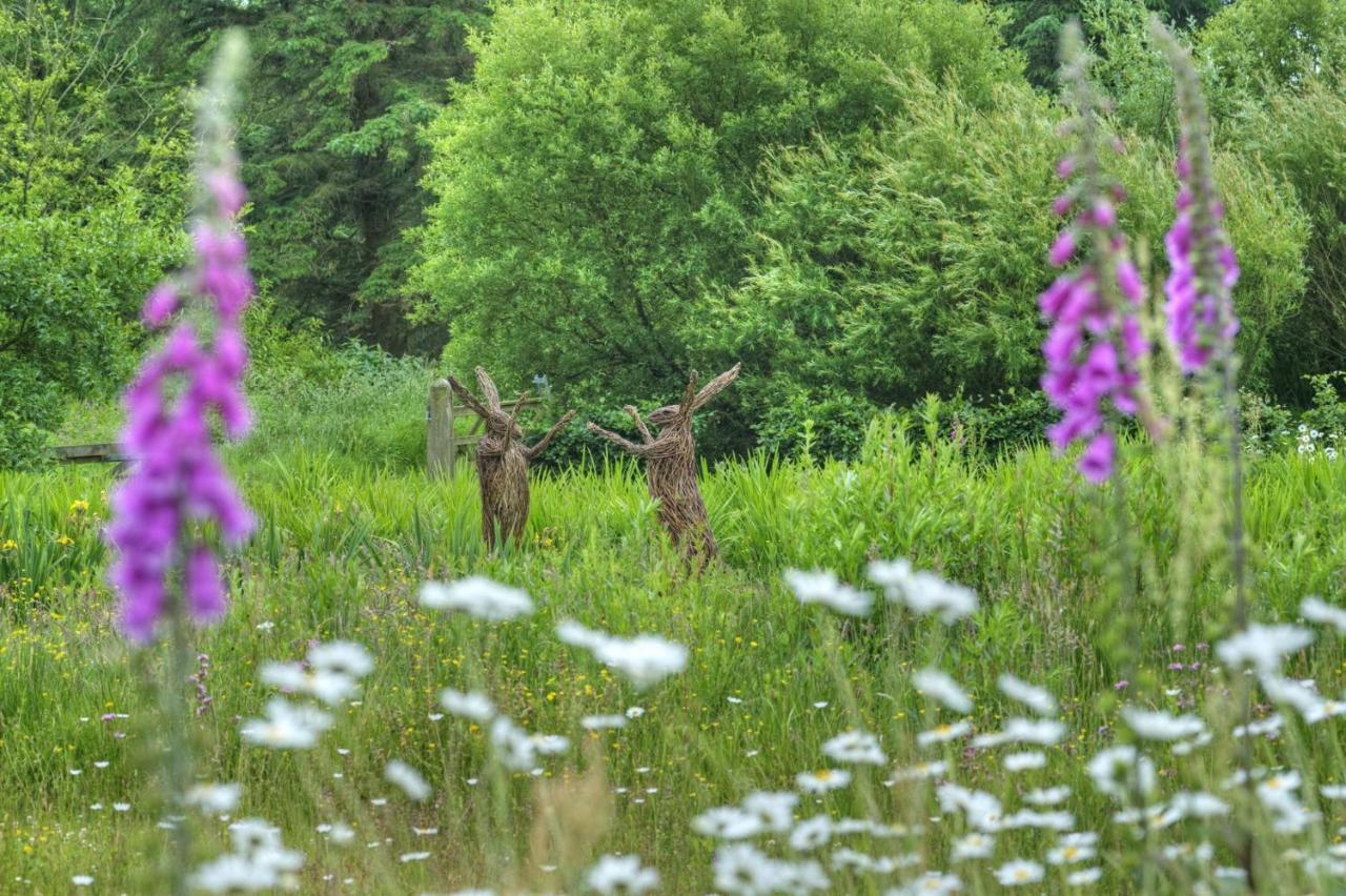 Orroland Holiday Cottages Dundrennan エクステリア 写真