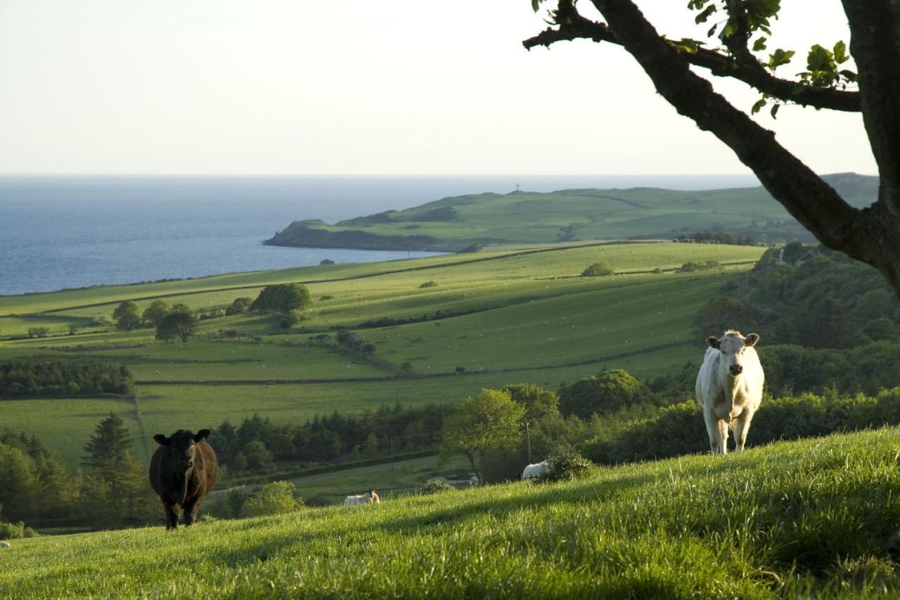 Orroland Holiday Cottages Dundrennan エクステリア 写真