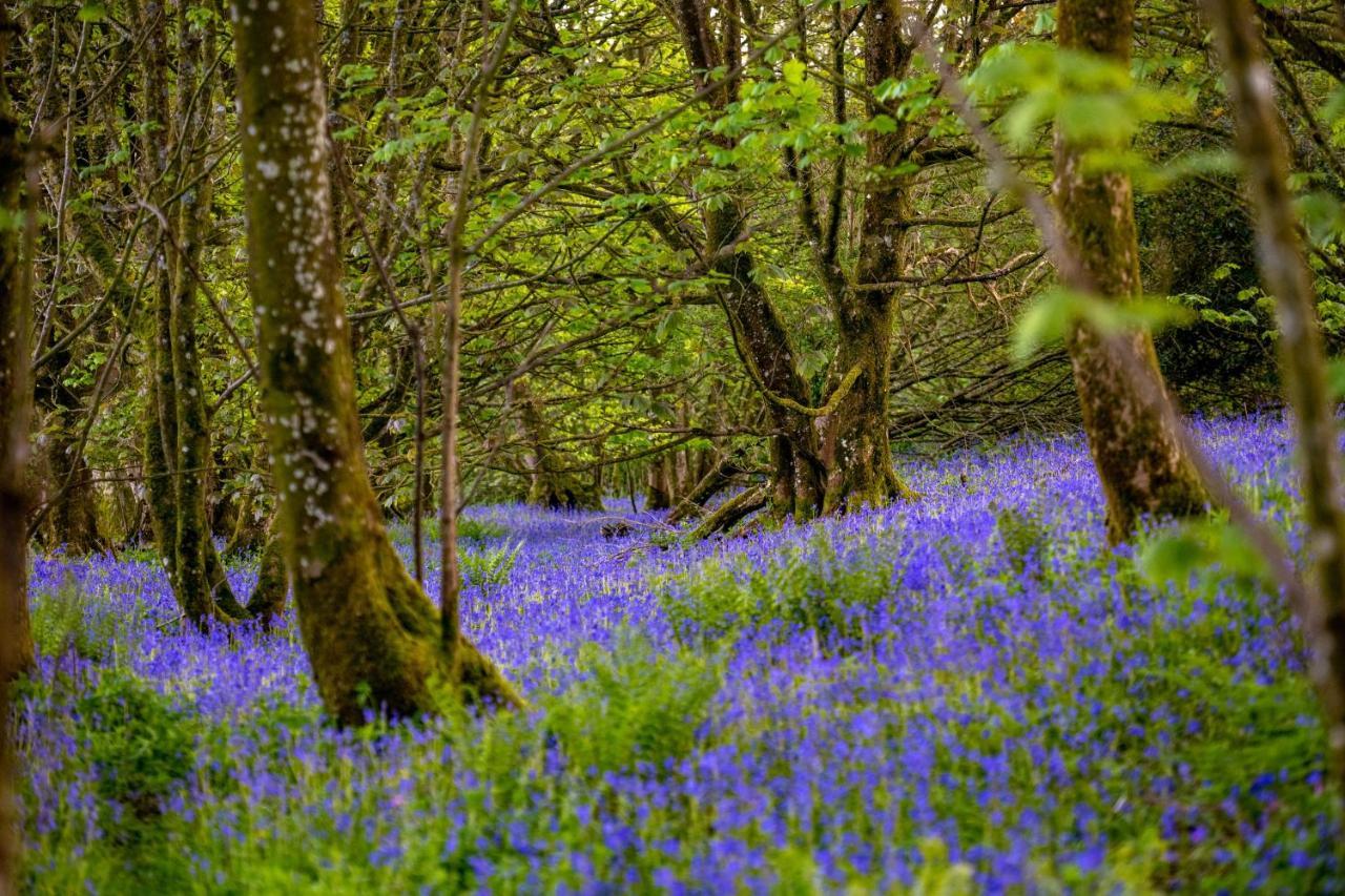 Orroland Holiday Cottages Dundrennan エクステリア 写真